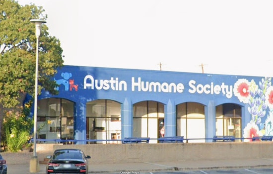 Austin Shelter Stunned as Woman Allegedly Sneaks Tiny Pup Out in Tote Bag