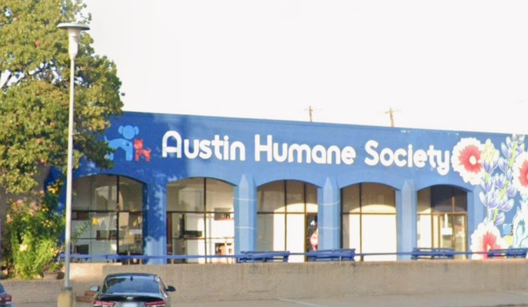 Austin Shelter Stunned as Woman Allegedly Sneaks Tiny Pup Out in Tote Bag