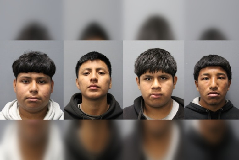 Backpack Gun Bust Rocks Plant City High, Four Teens Nabbed