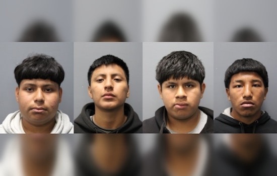 Backpack Gun Bust Rocks Plant City High, Four Teens Nabbed