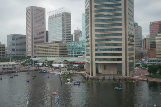 Baltimore Braces for Tuesday Freeze as Spring Warmup Lurks Around the Corner