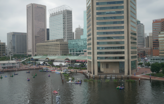 Baltimore Braces for Tuesday Freeze as Spring Warmup Lurks Around the Corner