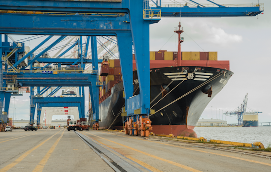 Baltimore Port Bets Big On Grain Hub After Key Bridge Collapse