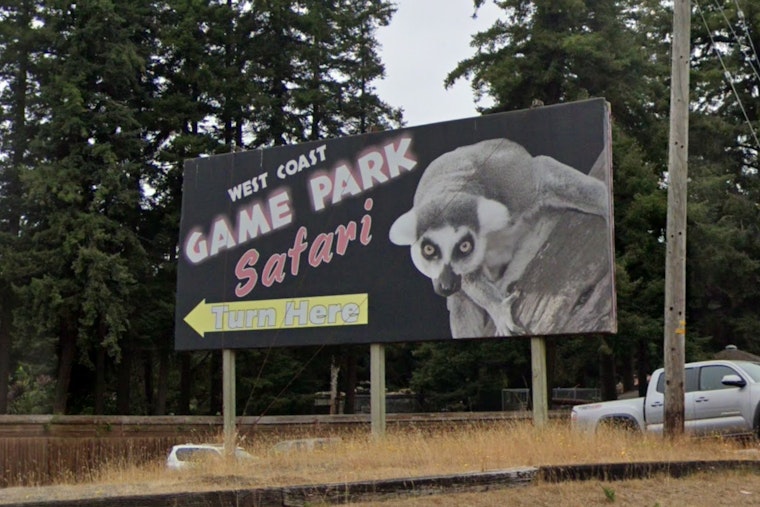 Bandon Roadside Safari Boss Crumbles, Admits 47 Counts In Animal Neglect Case