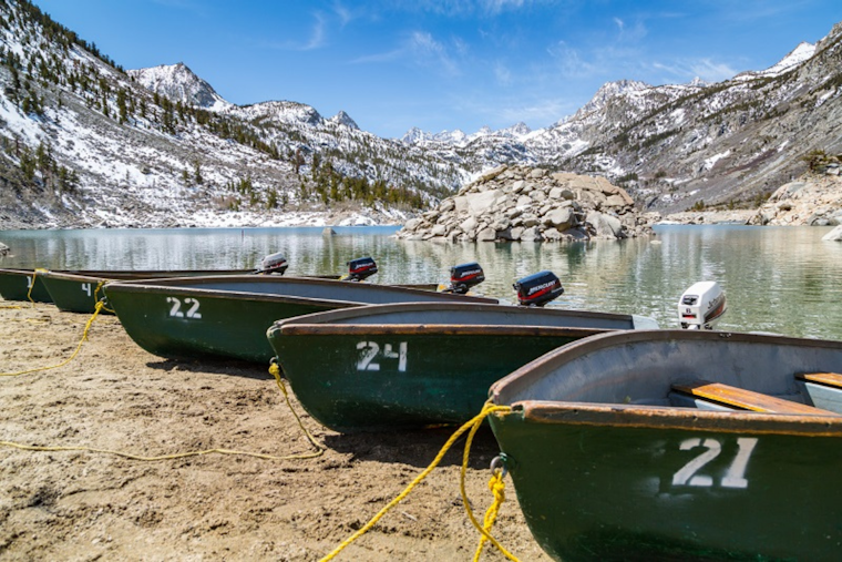 Bay Area Crab Crackdown: Trap Deadline Hits April 30, Whale‑Safe Gear Back May 7