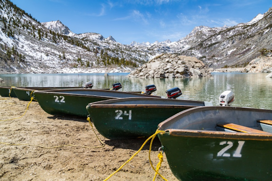 Bay Area Crab Crackdown: Trap Deadline Hits April 30, Whale‑Safe Gear Back May 7