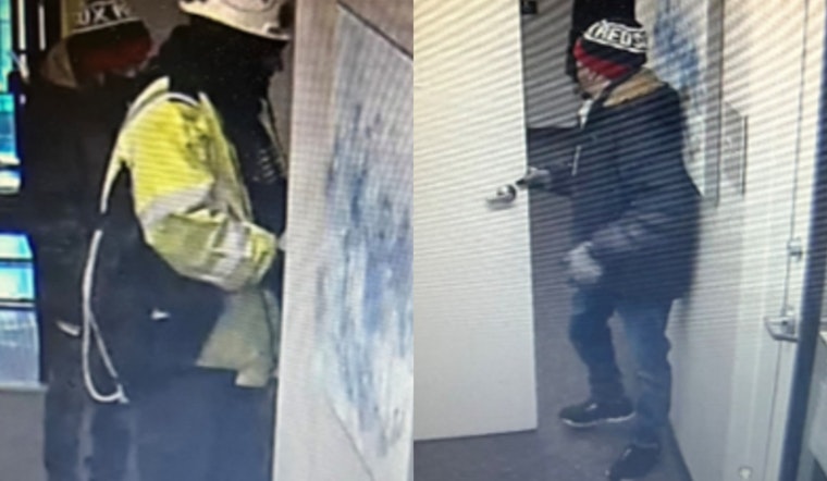 Bear Spray, Rock And A Gun: Cops Nab Trio In Dorchester Apartment Heist