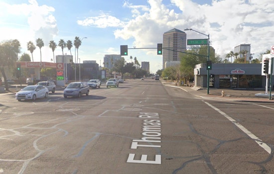 Bee Swarm Chaos on Central Phoenix Block Leaves Man Hospitalized