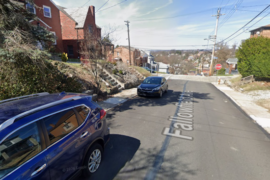 Beechview Block Locked Down as Cops Flood Fallowfield Avenue