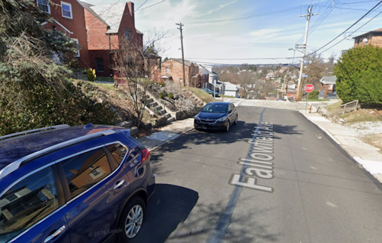 Beechview Block Locked Down as Cops Flood Fallowfield Avenue
