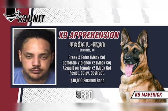 Belmont K-9 Runs Down Wanted Man After Wild I-85 Exit 27 Chase