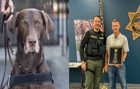 Beloved K-9 Blaze Bows Out As Multnomah County Deputy Retires