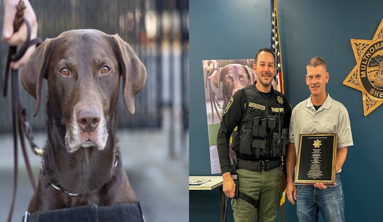 Beloved K-9 Blaze Bows Out As Multnomah County Deputy Retires