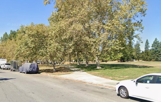 Berryessa Creek Park On Alert After ‘Reeking’ Dog Treats Rattle Pet Owners