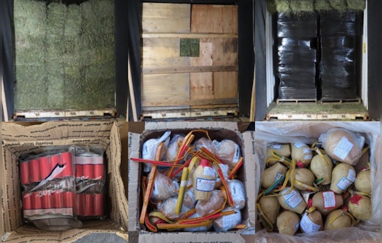 Big Island ‘Boom’ Bust: Feds Collar Two East Hawaii Men In 18-Ton Fireworks Scheme