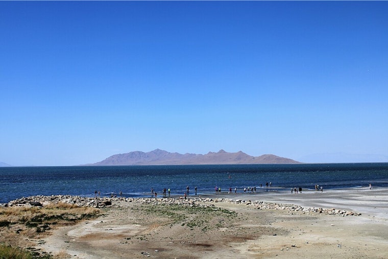 Bird Traffic Jam at Great Salt Lake as Western Lakes Dry Up