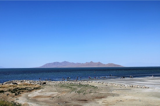 Bird Traffic Jam at Great Salt Lake as Western Lakes Dry Up