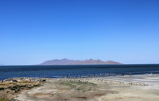 Bird Traffic Jam at Great Salt Lake as Western Lakes Dry Up