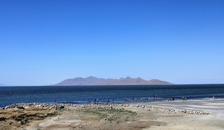 Bird Traffic Jam at Great Salt Lake as Western Lakes Dry Up