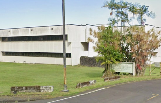 Blinding Ants Creep Into ʻĀina Haina, Neighbors Scramble To Test Yards