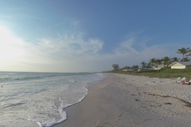 Boca Grande Girl Stares Down Shark Attack Beach In Daring Return