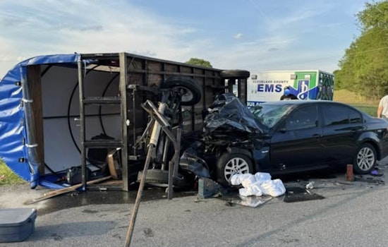 Boiling Springs Mule Wagon Flips In Odd Road Crash, Mules Barely Scratched