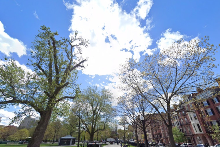 Boston Weather, Sunny Today, Heavy Rain Expected Thursday