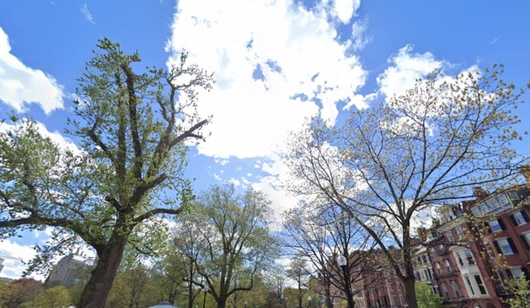 Boston Weather, Sunny Today, Heavy Rain Expected Thursday