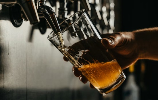 Brass Tap Plots Multi-Bar Alamo City Comeback