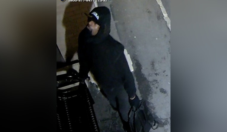 Brazen Castle Hill Cash Grab: NYPD Hunts Daylight Burglar In The Bronx