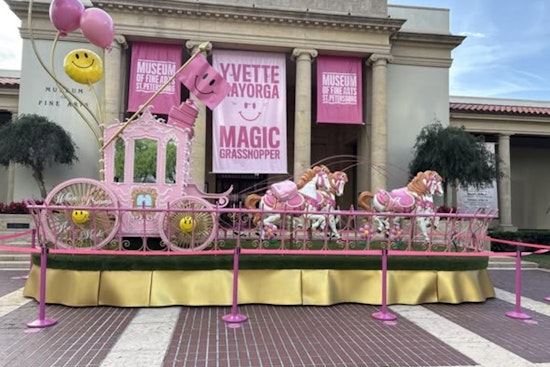 Brazen Thieves Strip Magic Grasshopper Outside St. Pete Museum