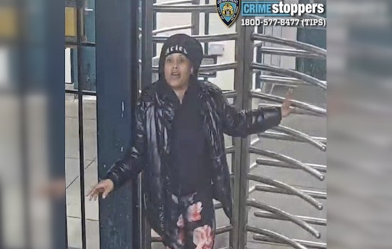 Bronx 2 Train Rider Blasted With Pepper Spray in Dead-of-Night Attack, Cops Hunt Suspect