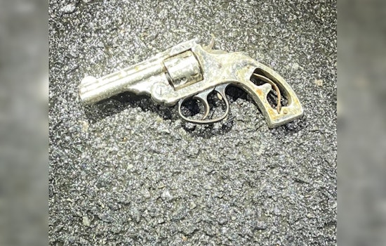 Bronx Gun Bust: 44th Precinct Team Nabs Armed Suspect