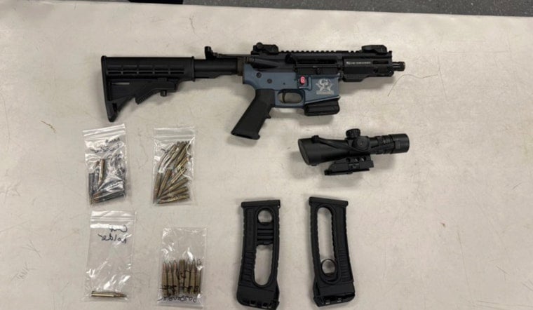 Bronx Traffic Stop Nets AR-15 Style Pistol, Cops Say
