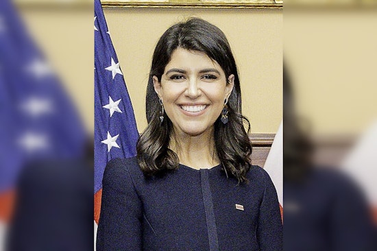 D.C. Delegate Race Boils Over After Pinto Posts 67-Page Dossier On Rival
