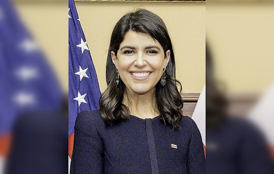 D.C. Delegate Race Boils Over After Pinto Posts 67-Page Dossier On Rival
