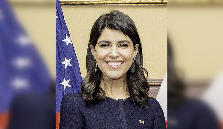 D.C. Delegate Race Boils Over After Pinto Posts 67-Page Dossier On Rival