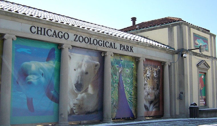 Brookfield Zoo on Edge as Workers Greenlight Strike Ahead of Contract Showdown