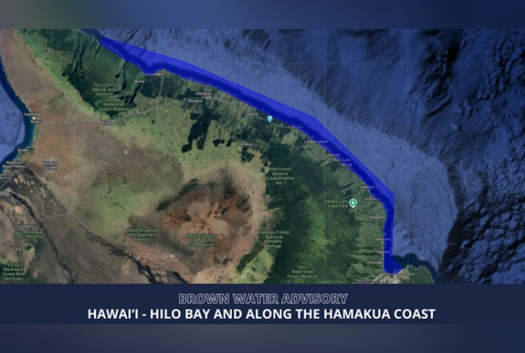 Brown Tide Trouble As Hilo Bay, Hāmākua Coast Get Stay-Out Warning