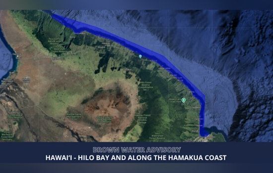 Brown Tide Trouble As Hilo Bay, Hāmākua Coast Get Stay-Out Warning