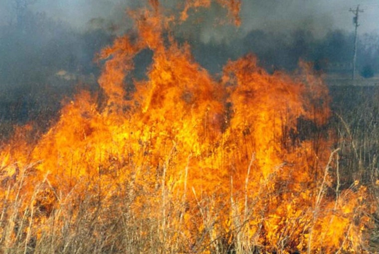 Brush Fire in Moreno Valley Forces Evacuations Amid Santa Ana Winds