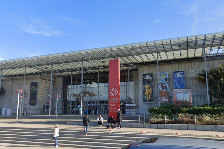 Cal Academy Job Shock as 53 Staffers Get the Axe