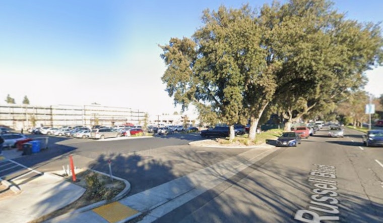 Calicraft's Giant Beer and Pizza Playground Lands in Davis