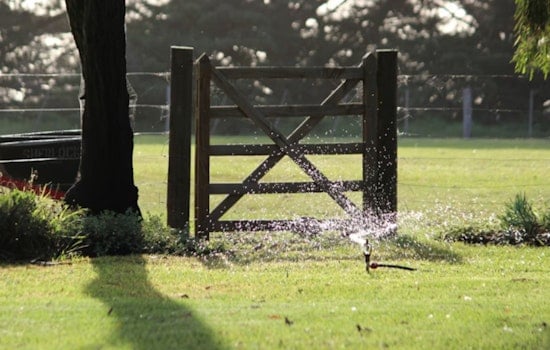 California HOAs Face Grass Crackdown and a Paperwork Pileup