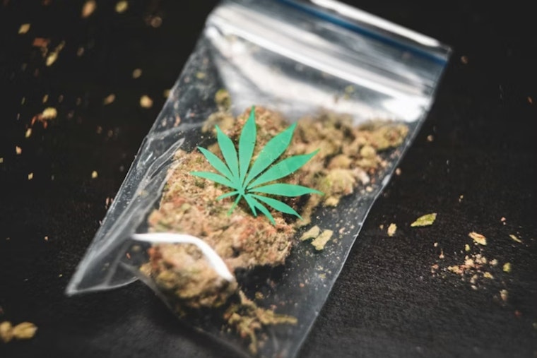 California's Legal Weed Is Still Getting Smoked by the Underground Market