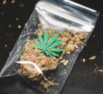 California's Legal Weed Is Still Getting Smoked by the Underground Market