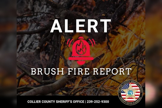 Campers Flee as Bear Island Brush Fire Erupts in Collier County
