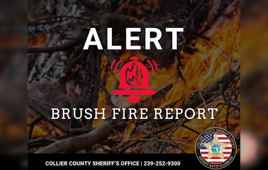 Campers Flee as Bear Island Brush Fire Erupts in Collier County