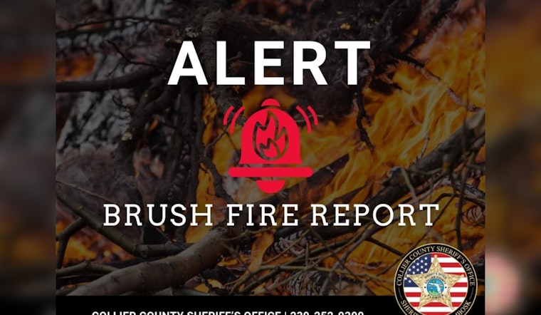 Campers Flee as Bear Island Brush Fire Erupts in Collier County