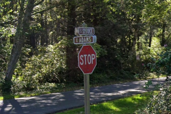 Cannon Beach Elk Killing Rattles Quiet Neighborhood As Troopers Hunt Shooter